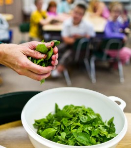 school garden