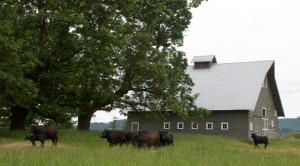 Colvin Ranch, Tenino, Washington