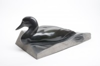 Matteson_Loon photo #4707C6