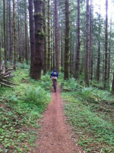 mountain biking