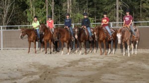 4h horse