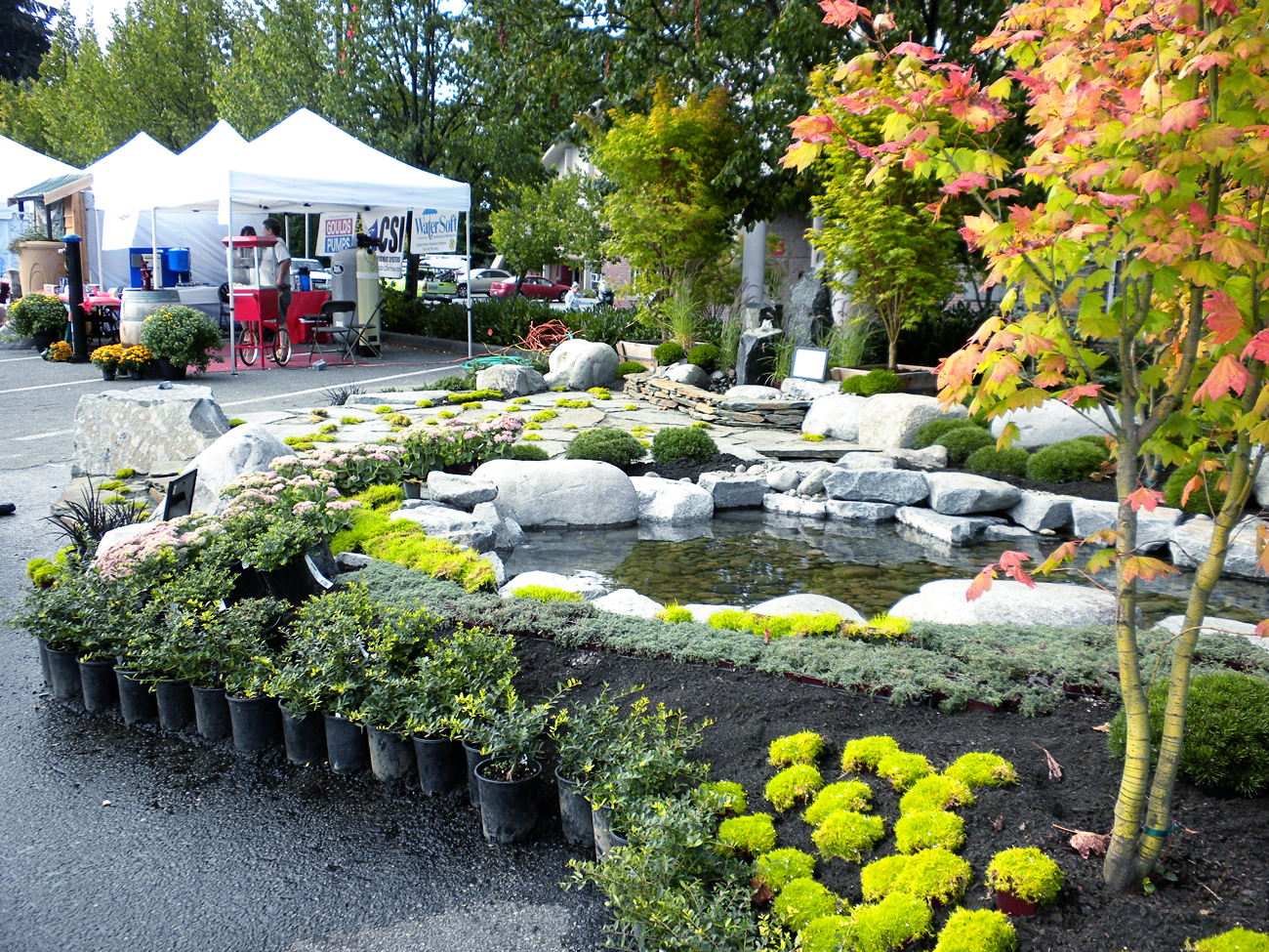 Olympia Master Builders Big Home Garden Show Is Right Around The Corner Thurstontalk