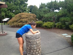 Tumwater Falls Park 2