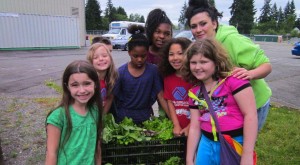 Tumwater BGC Lettuce Harvest 004