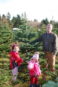 olympia tree farm