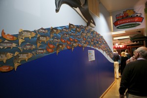 HOCM fish salmon run wall