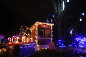 olympia holiday lights