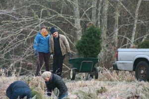 tree planting