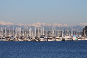 olympia marina