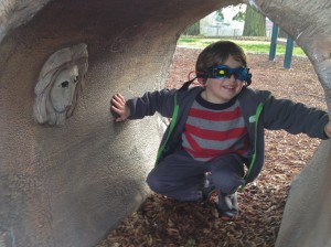 lions park olympia spring break camp olympia wa