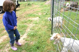 lattins cider mill