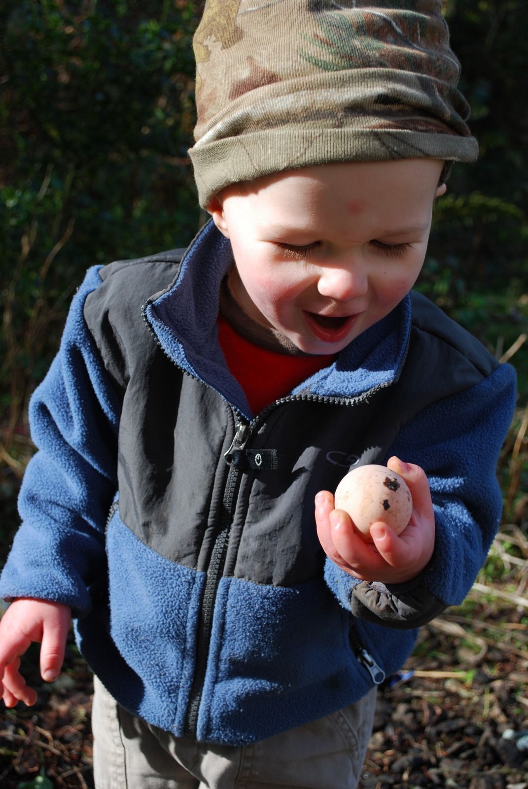 Talking chickens with Yvonne Rasmussen