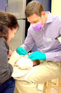 Dr. Scott Rowley performs a lap exam, a knee to knee exam, involving parents helping the youngest patients feel at ease, during Dental Health Month at the Hands On Children's Museum.