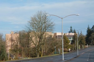 olympia brewery history