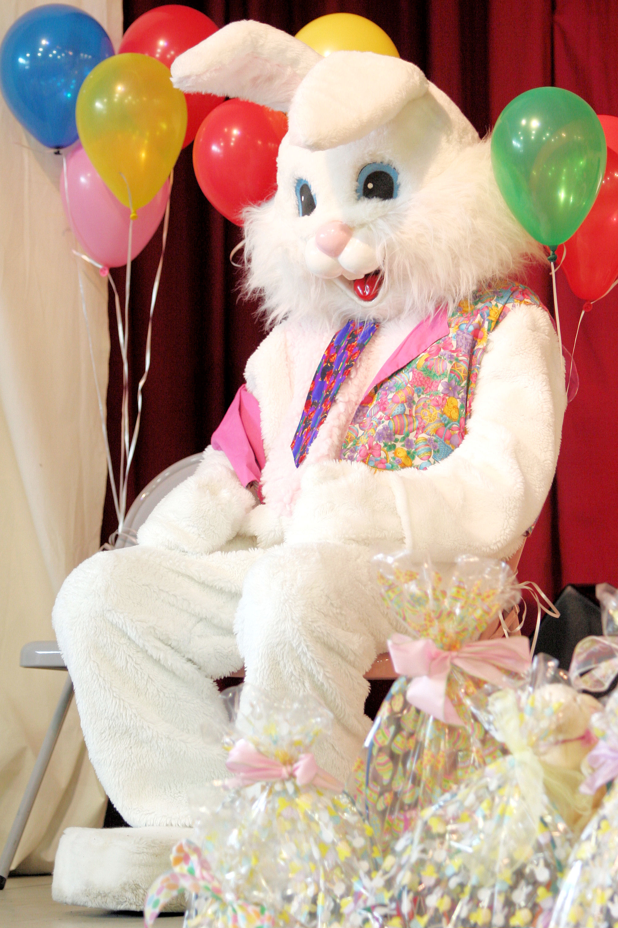Easter Bunny Pictures ThurstonTalk