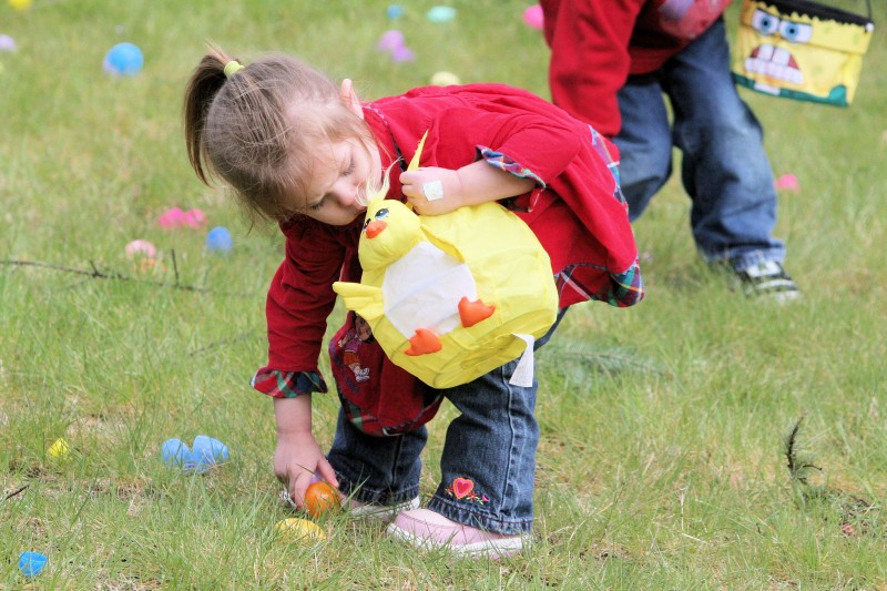 Plan To Attend A 2013 Easter Egg Hunt In Olympia, Lacey Or Tumwater