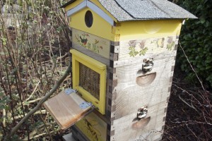 beekeeping olympia beekeeping