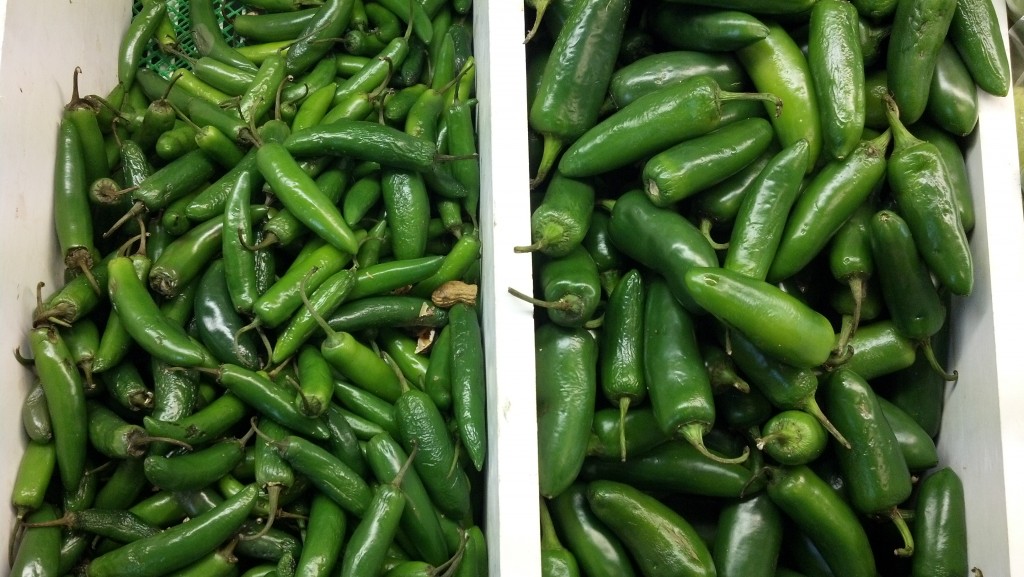 mexican-grocery-shopping-while-in-olympia-thurstontalk