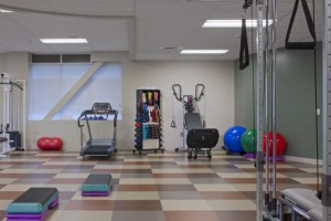 olympia physical therapist