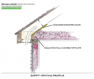 olympia home energy efficiency