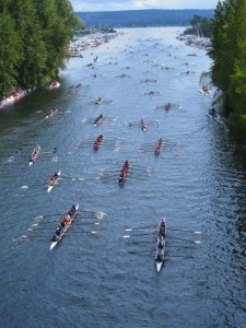 rowing windermere cup