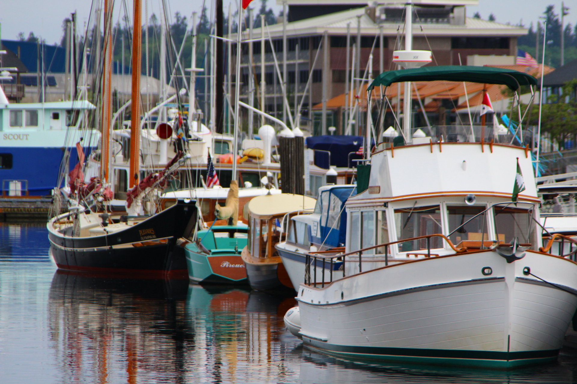 Olympia Washington Wooden Boat Festival 2013 ThurstonTalk