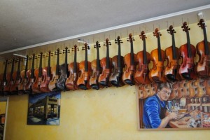 olympia violin shop