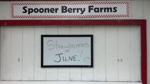 spooner berries