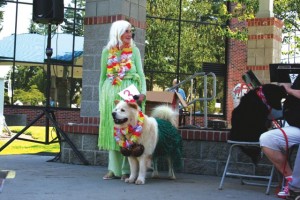 lacey farmers market