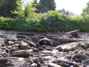 priest point park