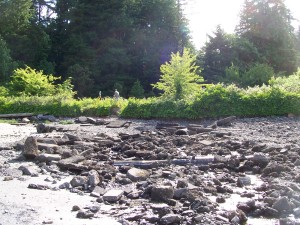 priest point park