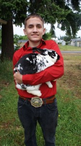 thurston county fair