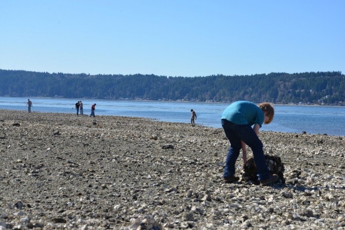 twanoh state park