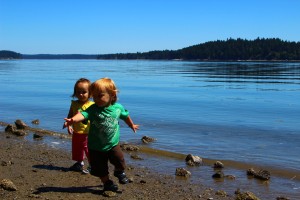 Frye Cove park is a hidden gem on the Steamboat Island peninsula.