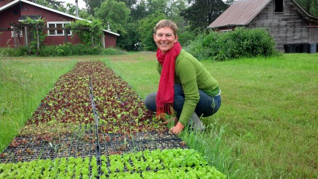 Get Involved - Community Farm Land Trust