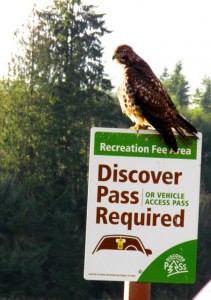 nisqually national wildlife refuge