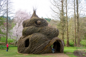 patrick dougherty