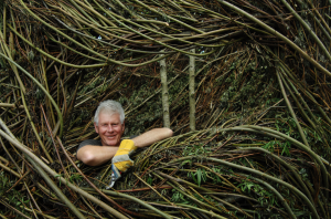 patrick dougherty