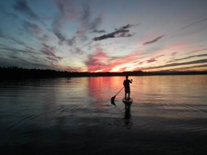 paddle board olympia