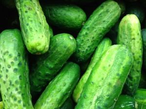 quick pickled cucumbers
