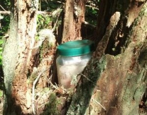 olympia geocache