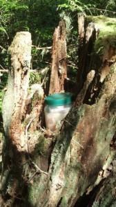 olympia geocache