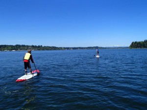 paddle board olympia