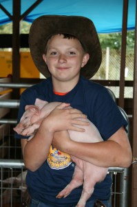 thurston county fair