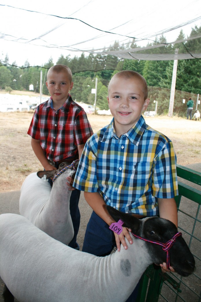 thurston county fair