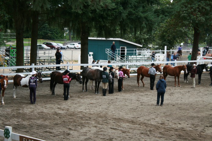 thurston county fair