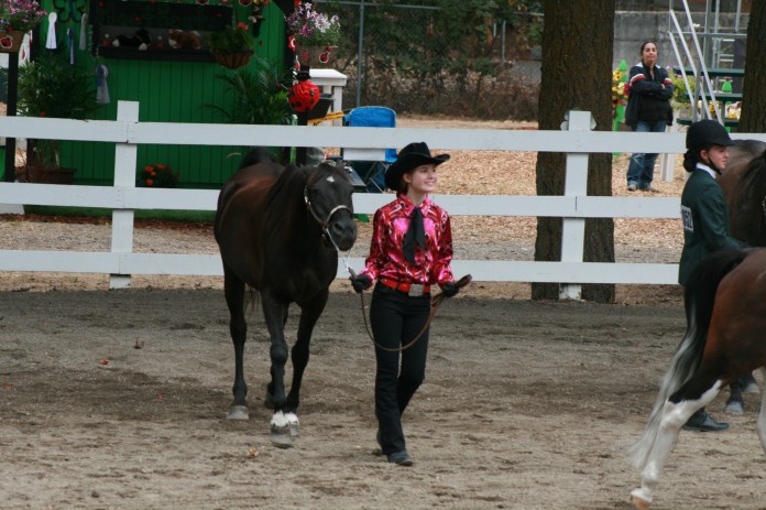 thurston county fair