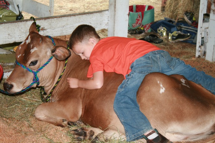 thurston county fair