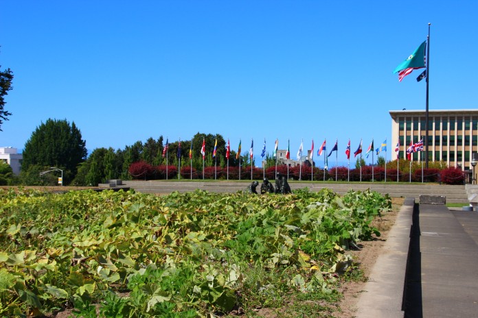 olympia capital garden