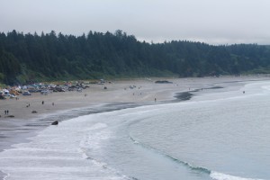 quinault paddle